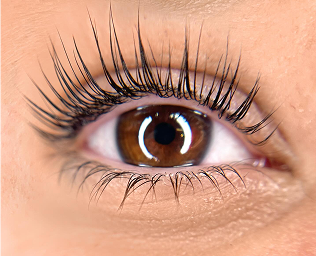 Ciglia dopo lash lifting